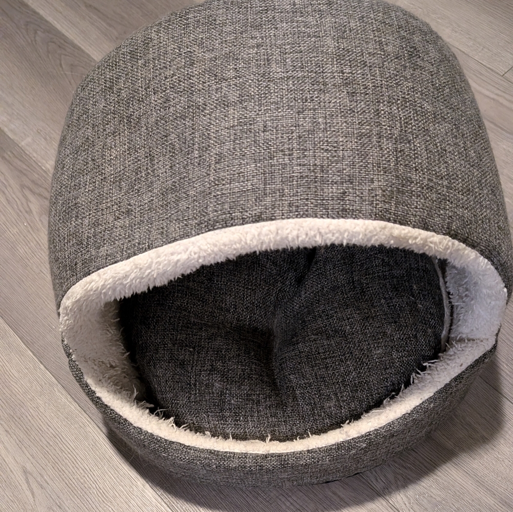 Cat lounge